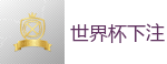2026世界杯 (FIFA WorldCUP)中国体育彩票指定平台